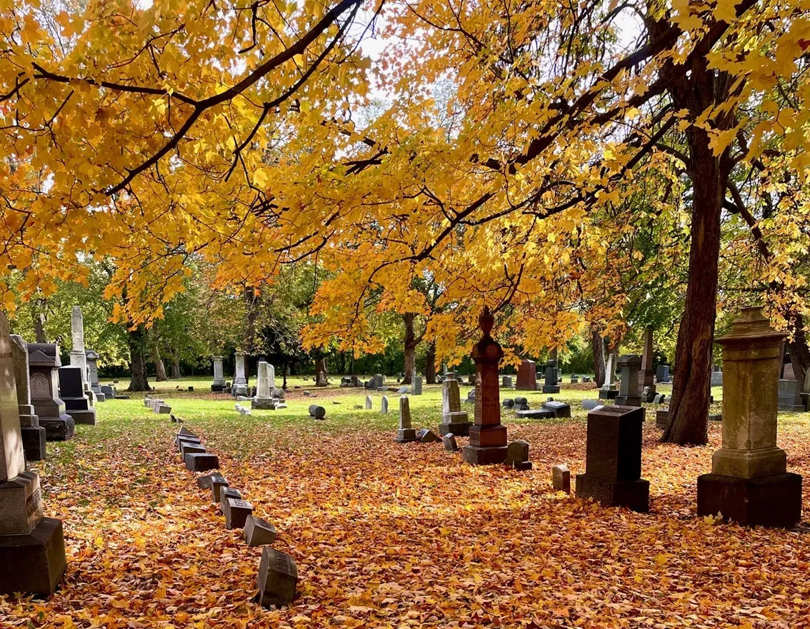 Monroe Street Cemetery is a graveyard smash with multiple events celebrating Halloween